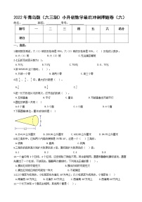 2022年青岛版（六三制）小升初数学最后冲刺押题卷（六）（有答案，带解析）