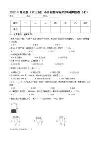 2022年青岛版（六三制）小升初数学最后冲刺押题卷（七）（有答案，带解析）