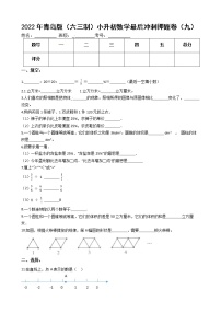 2022年青岛版（六三制）小升初数学最后冲刺押题卷（九）（有答案，带解析）