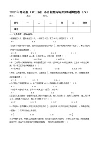 2022年青岛版（六三制）小升初数学最后冲刺押题卷（八）（有答案，带解析）