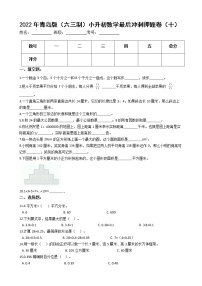 2022年青岛版（六三制）小升初数学最后冲刺押题卷（十）（有答案，带解析）