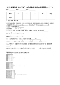 2022年青岛版（六三制）小升初数学最后冲刺押题卷（十二）（有答案，带解析）