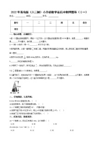 2022年青岛版（六三制）小升初数学最后冲刺押题卷（十一）（有答案，带解析）