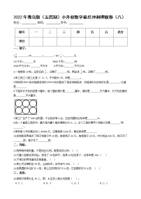 2022年青岛版（五四制）小升初数学最后冲刺押题卷（八）（有答案，带解析）