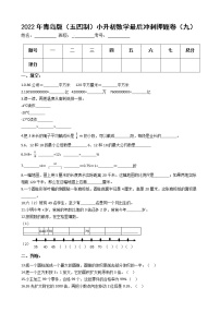 2022年青岛版（五四制）小升初数学最后冲刺押题卷（九）（有答案，带解析）