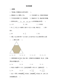 2021-2022学年六年级下学期数学小升初比和比例专项练习(有答案)