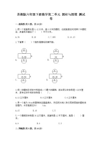 苏教版六年级下册二 圆柱和圆锥同步练习题