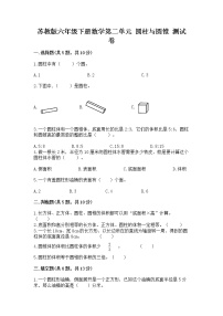 小学数学苏教版六年级下册二 圆柱和圆锥练习