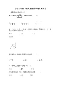 小学五年级下册人教版数学期末测试卷含答案（名师推荐） (3)