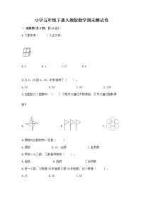 小学五年级下册人教版数学期末测试卷附答案（夺分金卷）