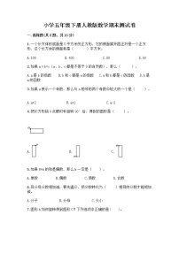 小学五年级下册人教版数学期末测试卷附答案（培优B卷） (2)