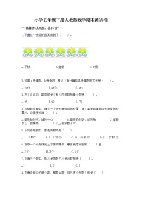 小学五年级下册人教版数学期末测试卷（轻巧夺冠）