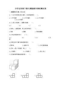 小学五年级下册人教版数学期末测试卷附答案（黄金题型） (2)