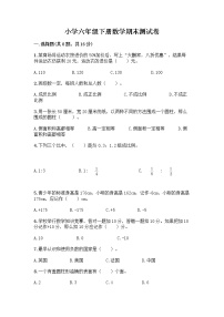 小学六年级下册数学期末测试卷附答案（突破训练）