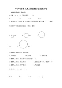 小学六年级下册人教版数学期末测试卷及参考答案（培优）