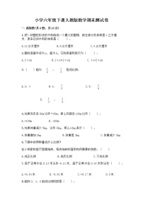 小学六年级下册人教版数学期末测试卷及参考答案（模拟题）