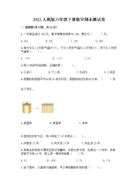 2022人教版六年级下册数学期末测试卷（突破训练）