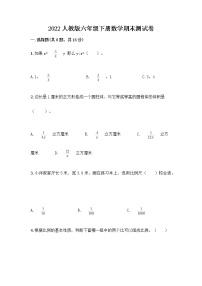 2022人教版六年级下册数学期末测试卷带答案（综合卷）