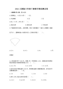 2022人教版六年级下册数学期末测试卷及1套完整答案 (2)