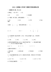 2022人教版六年级下册数学期末测试卷（巩固）