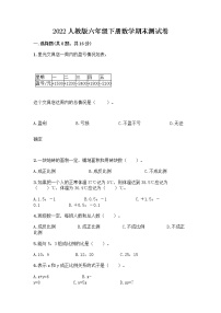 2022人教版六年级下册数学期末测试卷带答案解析 (2)