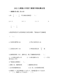 2022人教版六年级下册数学期末测试卷附答案（实用）