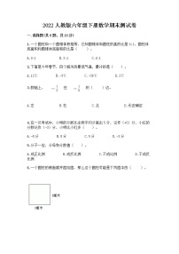 2022人教版六年级下册数学期末测试卷附答案（完整版）