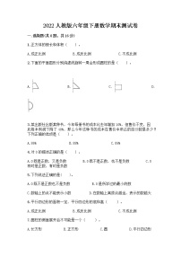 2022人教版六年级下册数学期末测试卷及答案（名校卷）