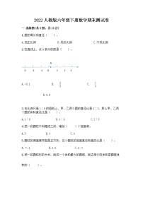 2022人教版六年级下册数学期末测试卷含答案（达标题）