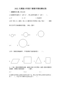 2022人教版六年级下册数学期末测试卷附答案（突破训练）