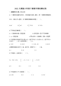 2022人教版六年级下册数学期末测试卷精选