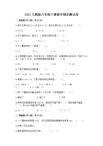 2022人教版六年级下册数学期末测试卷有完整答案