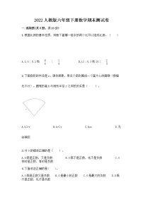 2022人教版六年级下册数学期末测试卷及下载答案