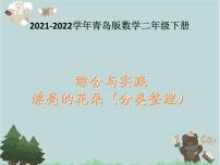 数学二年级下册九 我是体育小明星——数据的收集与整理（一）授课ppt课件