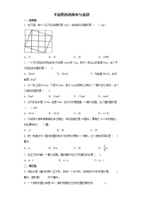 2021-2022学年六年级下学期数学小升初专项复习-平面图形的周长与面积（有答案）