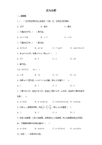 2021-2022学年六年级下学期数学小升初专项复习--式与方程（有答案）