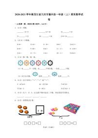 2020-2021学年黑龙江省大庆市肇州县一年级（上）期末数学试卷（含答案）