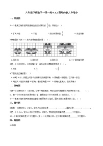 人教版六年级下册4 比例3 比例的应用图形的放大与缩小综合训练题