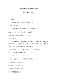 【精品】小升初数学知识数与代数专项训练（一）（23页）