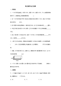 长方体与正方体专项突破练习（试题）-六年级下册数学人教版