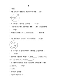 圆+专项突破练习（试题）-六年级下册数学人教版