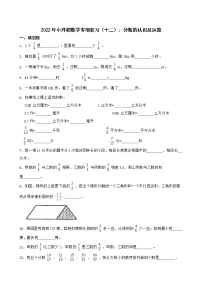 2022年小升初数学专项复习（十二）：分数的认识及运算