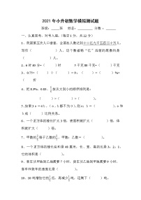 人教版小升初数学期末毕业模拟测试题1