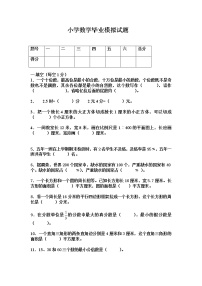 人教版六年级数学期末毕业水平测试卷3