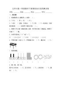 期末拔尖培优测试卷（试题）一年级下册数学北师大版