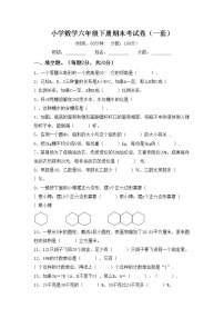 2022小学数学六年级下册期末考试卷(一套)