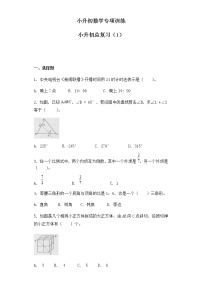 小升初数学知识专项训练-小升初总复习（1）通用版