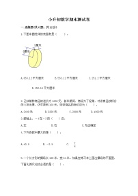 小升初数学期末测试卷（名师系列）word版