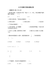 小升初数学期末测试卷（全优）