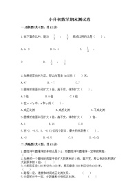 小升初数学期末测试卷（历年真题）word版